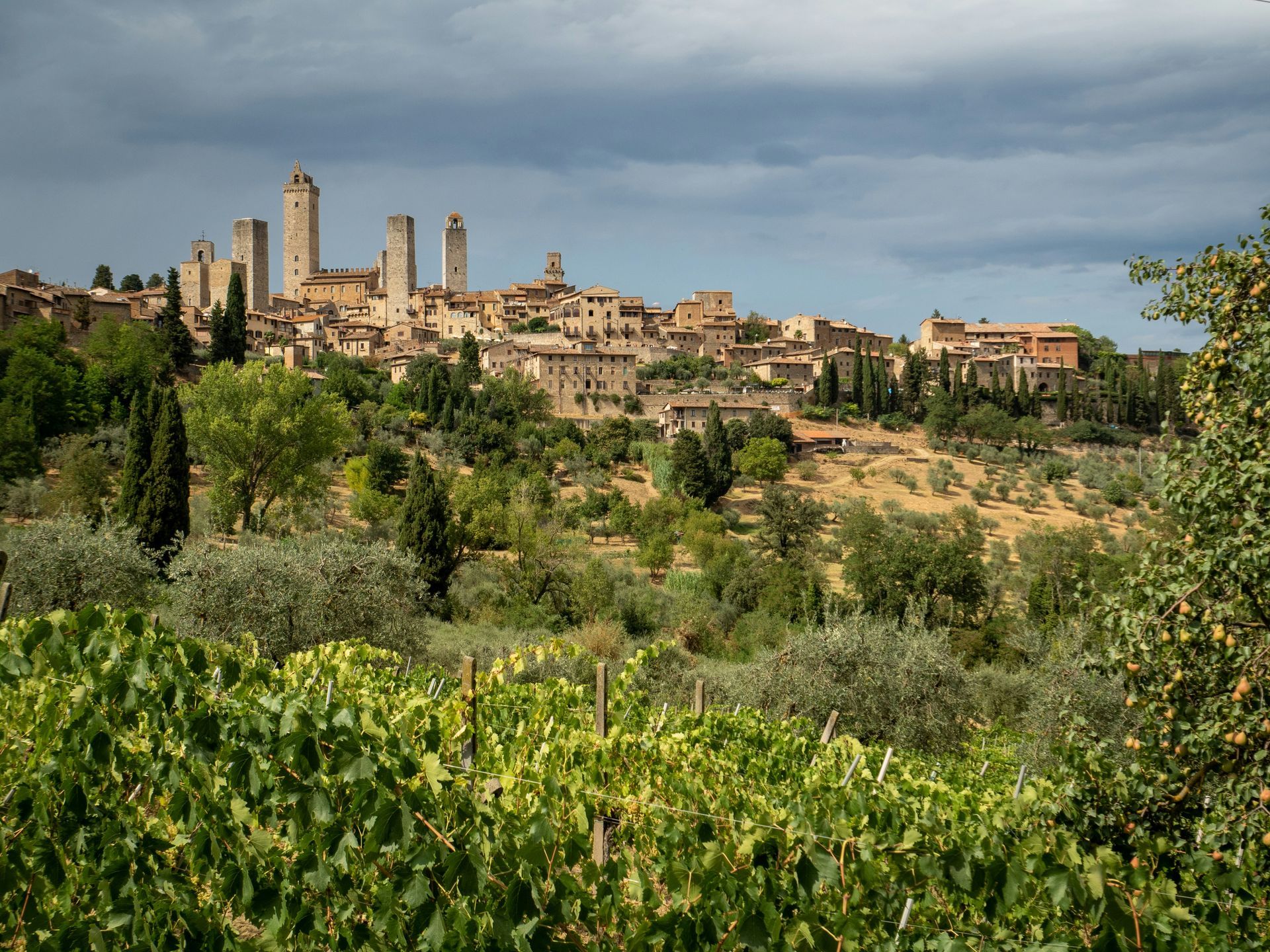 Tuscan Countryside