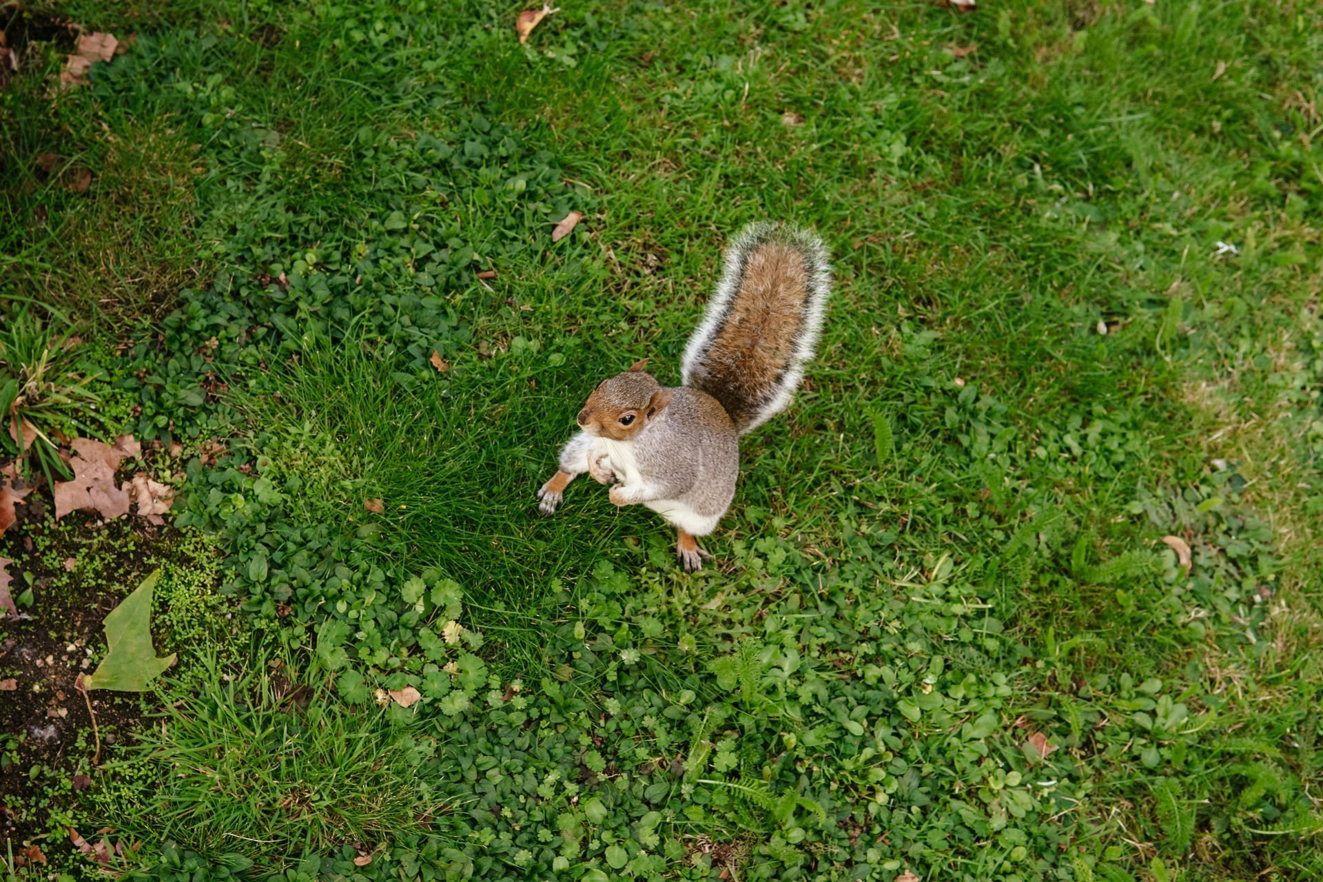 Waterlow Park