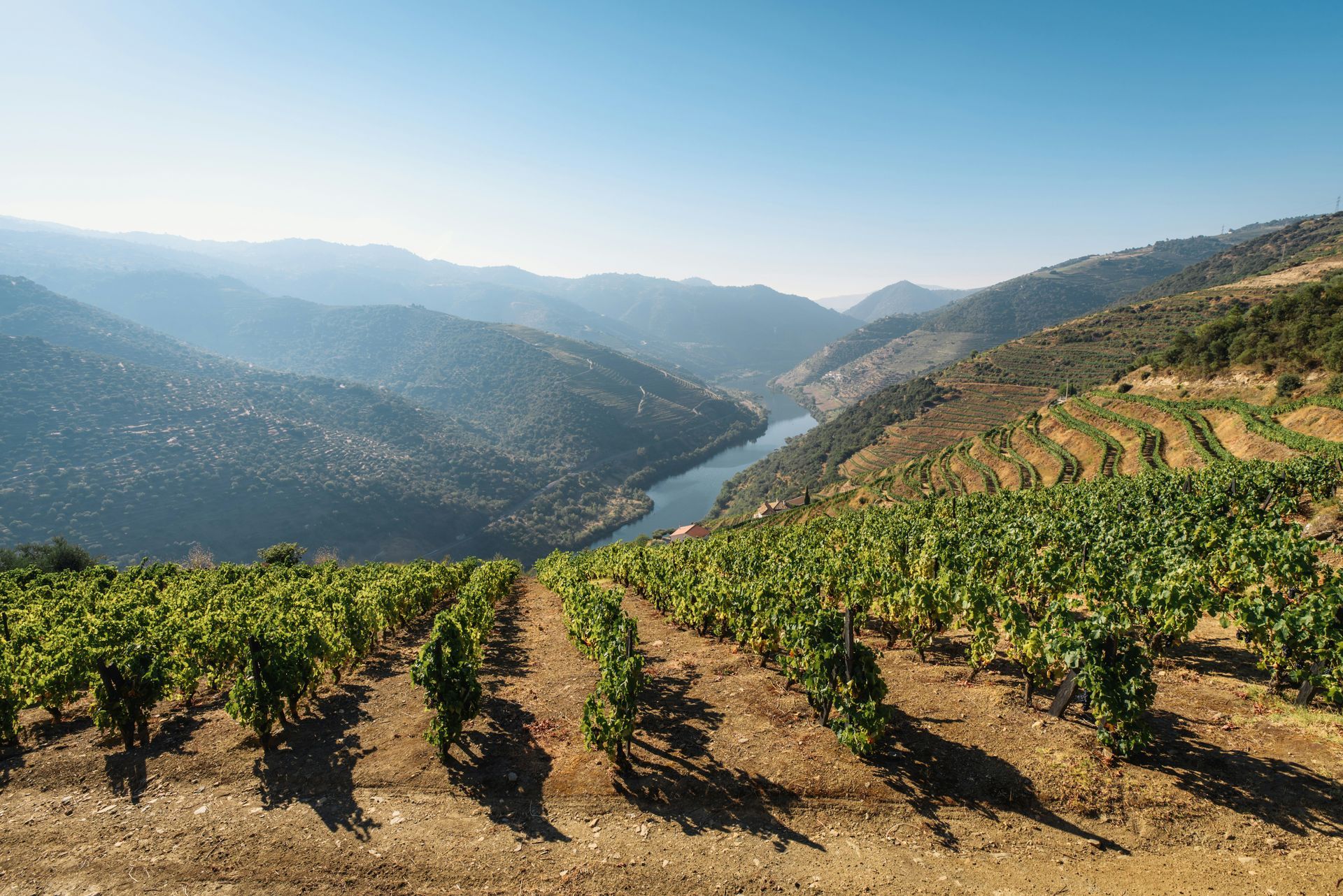 Wine Tasting Experiences Across Portugal