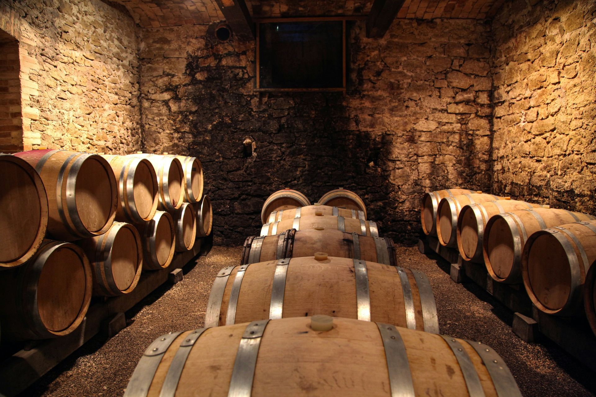 Wine Tour