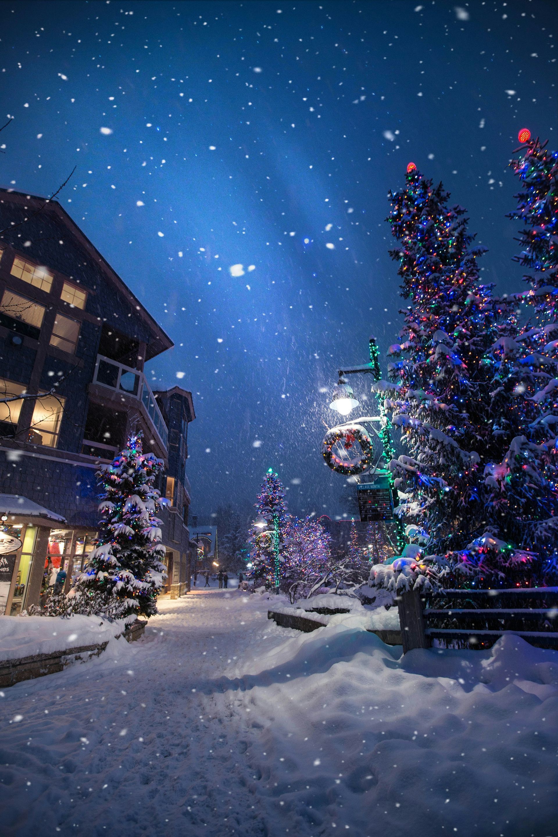 Christmas trees on a snowy street during the night