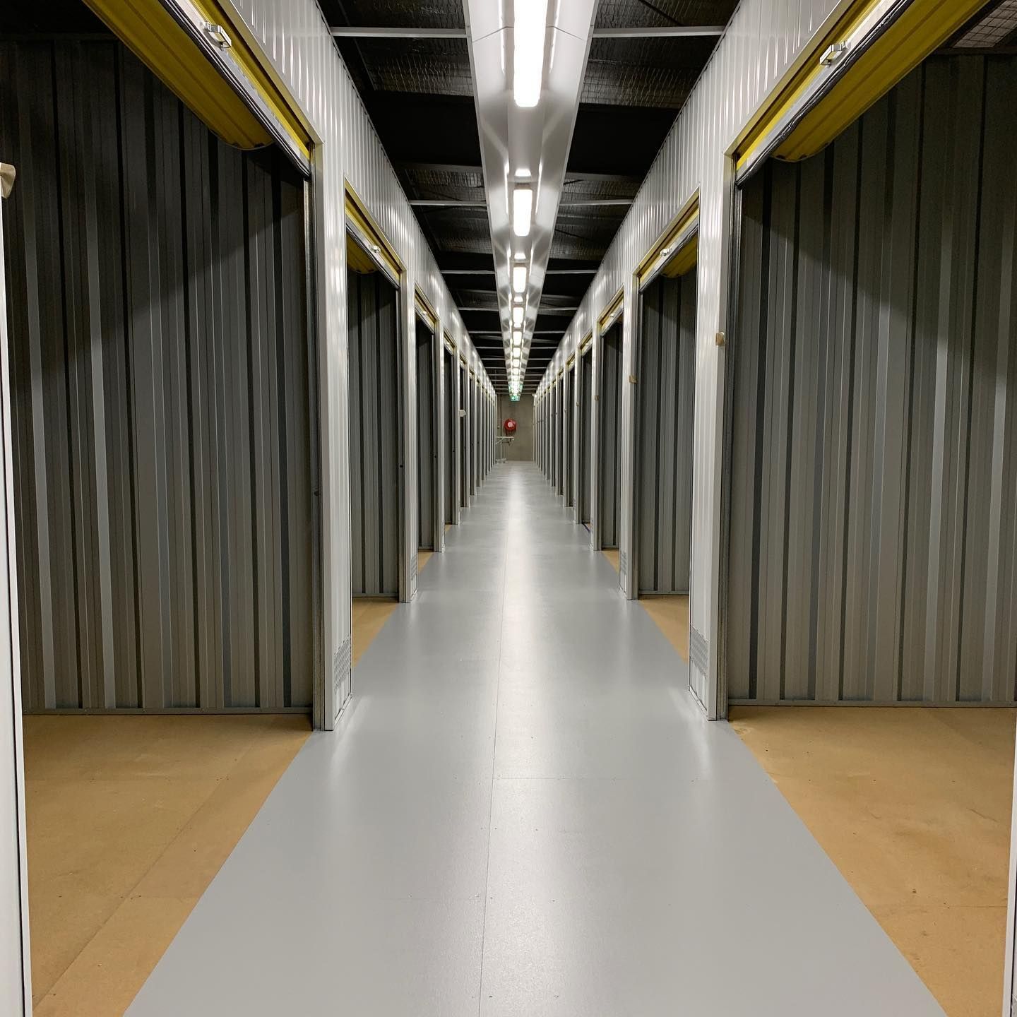A String Of Lights Hanging From A Tree — Luke Jones Electrical In Figtree, NSW