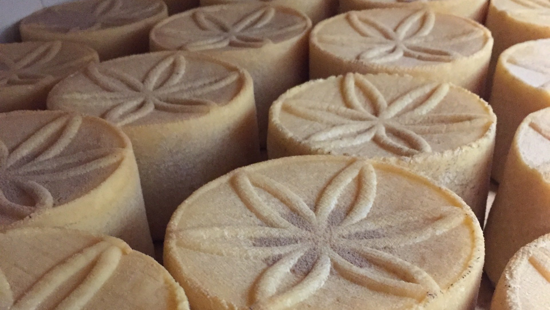 Formatge madurat Pujol-Orra