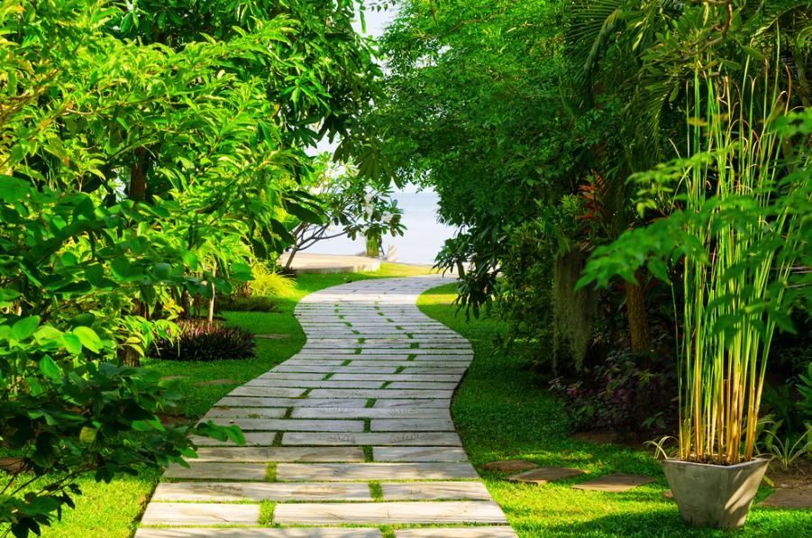 A Path In A Park Surrounded By Trees And Grass Leading To A Beach — Southern Bricks & Pavers In Sussex Inlet, NSW