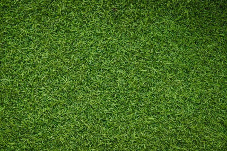 A Close Up Of A Lush Green Field Of Grass — Southern Bricks & Pavers In Sussex Inlet, NSW