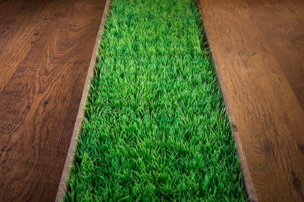 A Piece Of Green Grass Is Sitting On A Wooden Floor — Southern Bricks & Pavers In Ulladulla, NSW