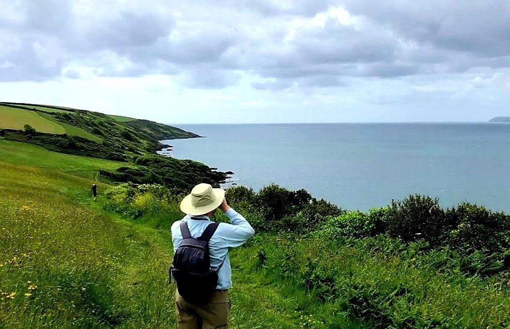 A walker watching a peregrine falcon from the coast path in summer