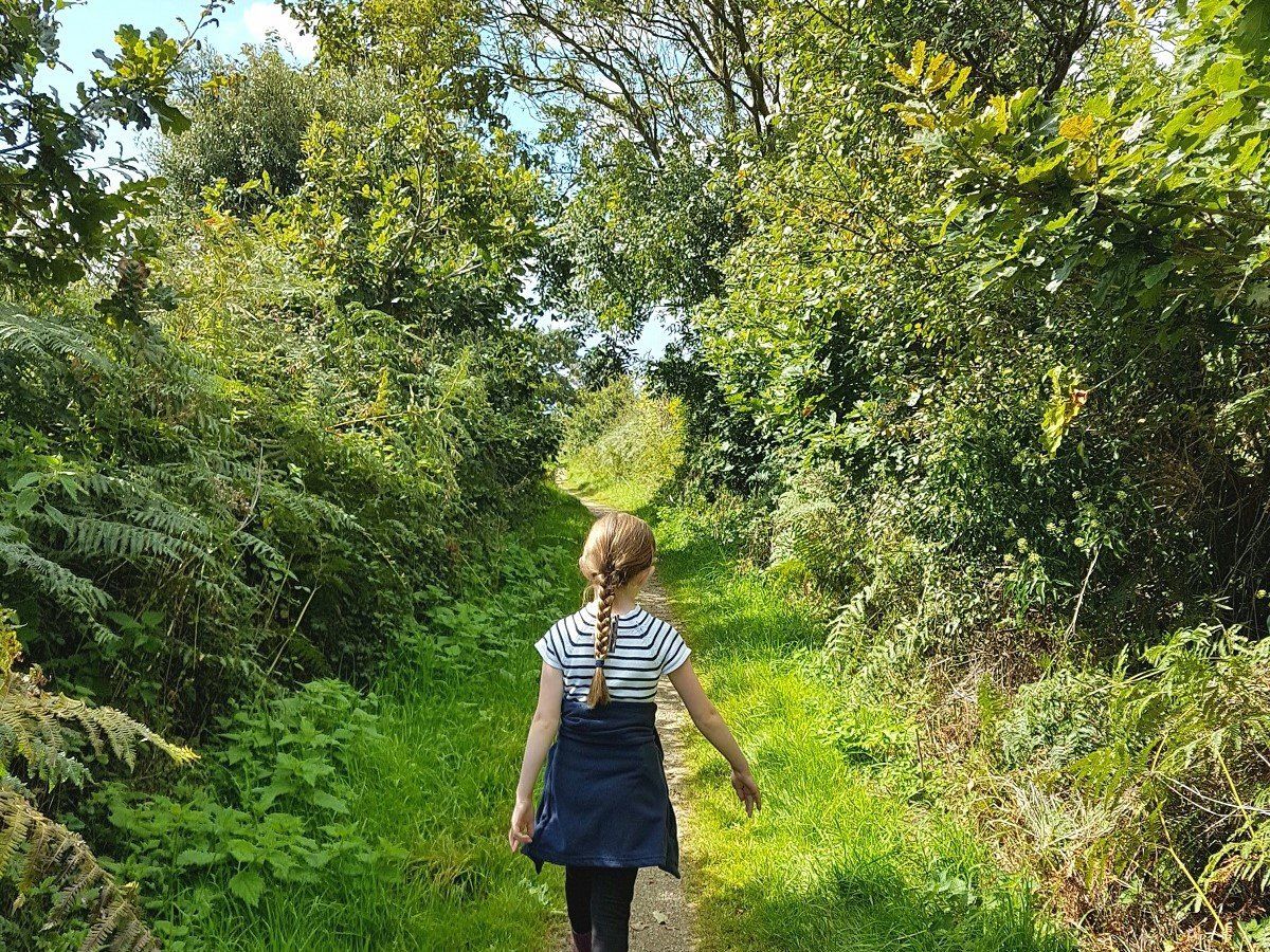 Young girl waking along a sunny, grassy path between Cornish hedges with tall trees