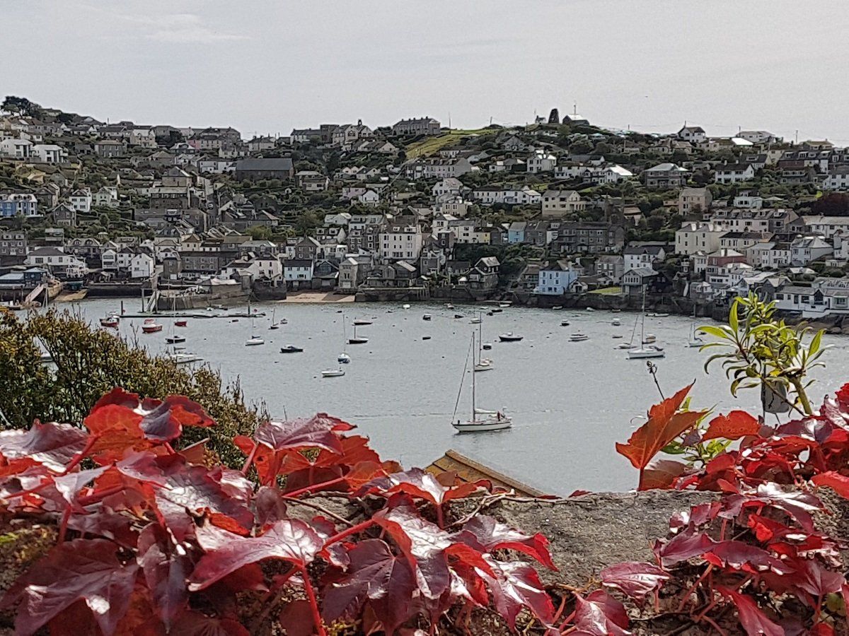 Red leaves of a creeper growing over the wall at a viewpoint across Fowey estuary to Polruan