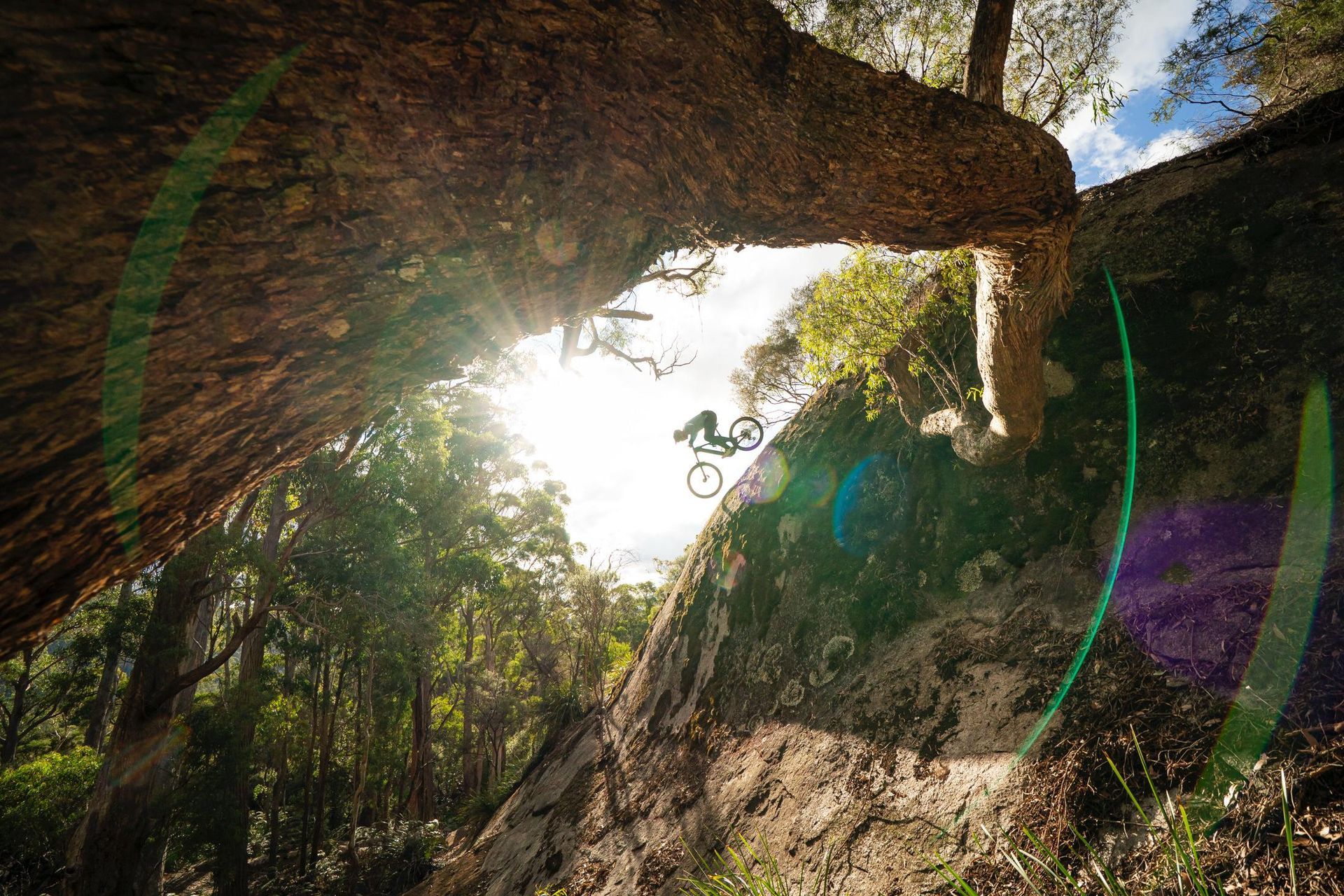 A person is riding a bike under a tree in the woods.