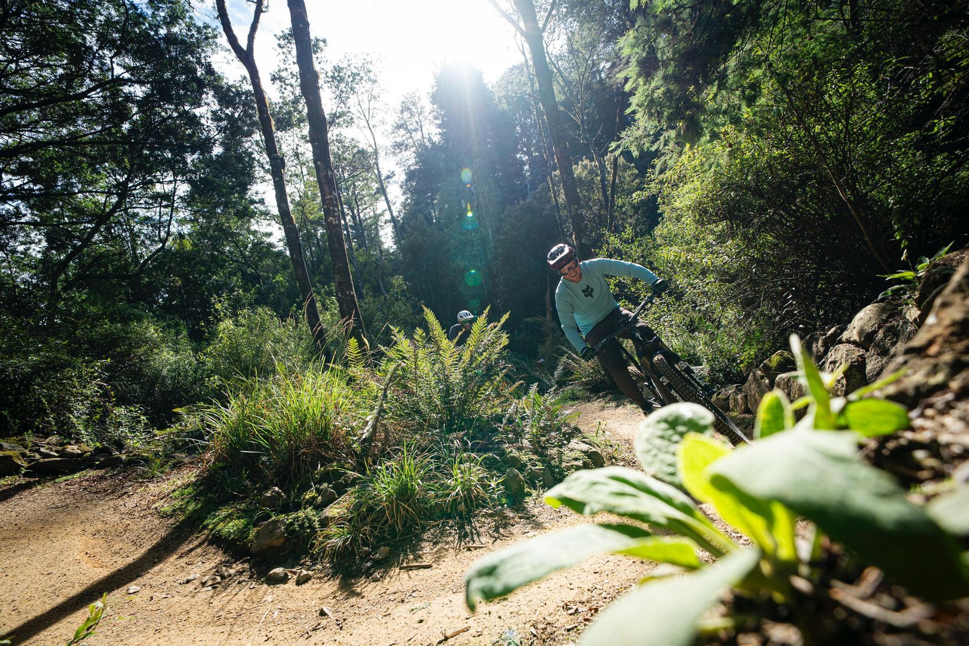 A man is riding a bike down a trail in the woods.