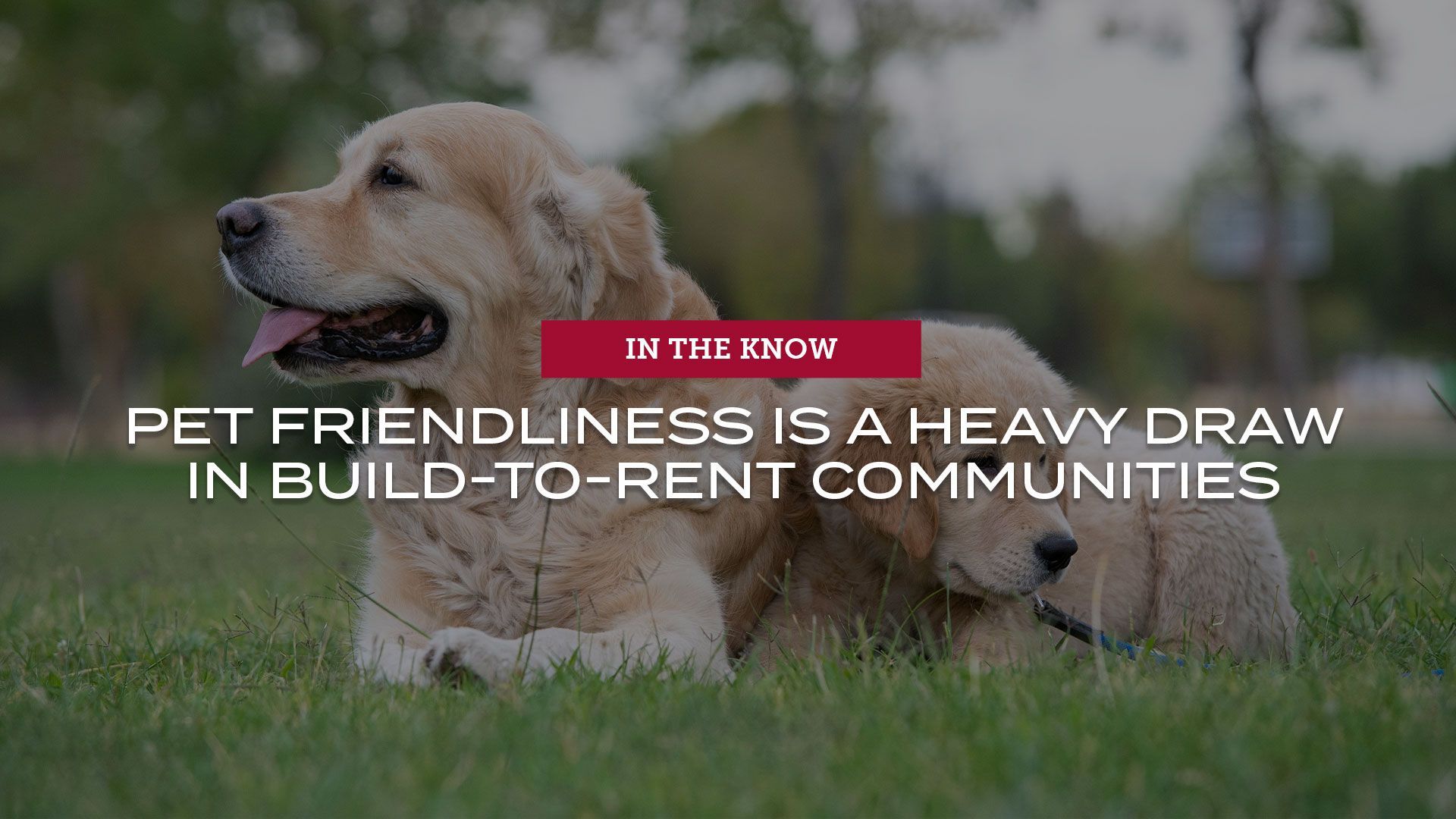 Pet friendliness is a heavy draw in build-to-rent communities