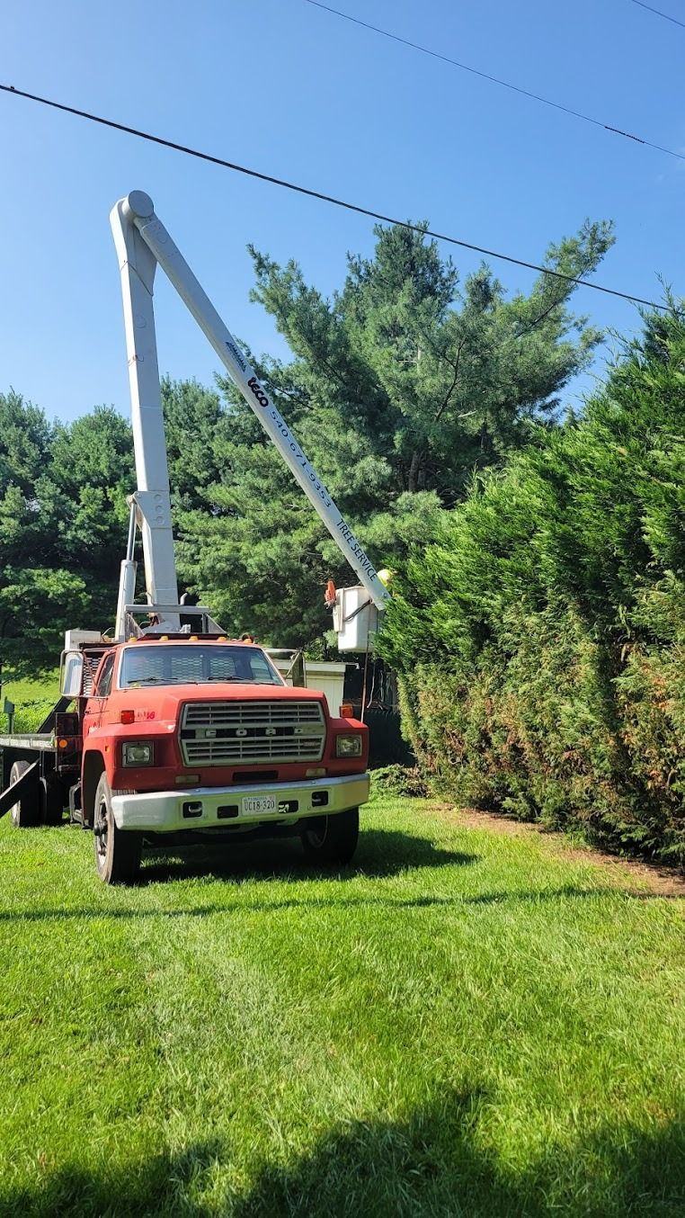 Orange utility truck with raised boom arm on a grassy roadside beside trees and power lines