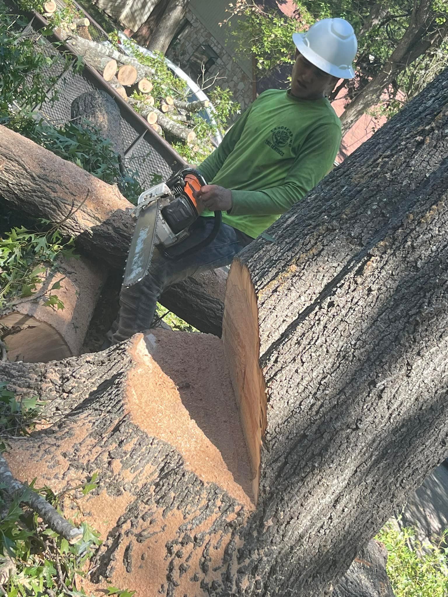 A man is cutting a tree with a chainsaw.