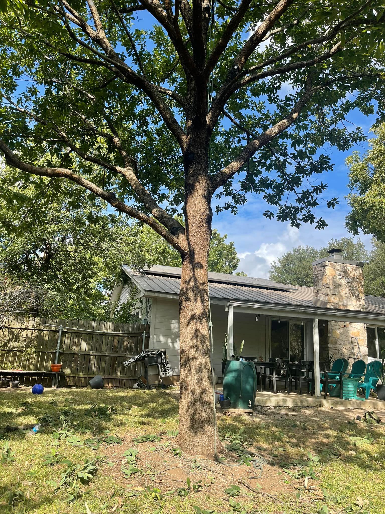 A house with a porch and a tree in front of it.
