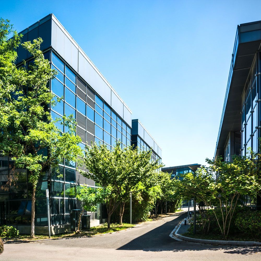 Modern office buildings with large windows, trees, and a pathway on a sunny day.