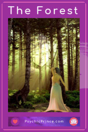 Get your psychicprince freebie reading here online