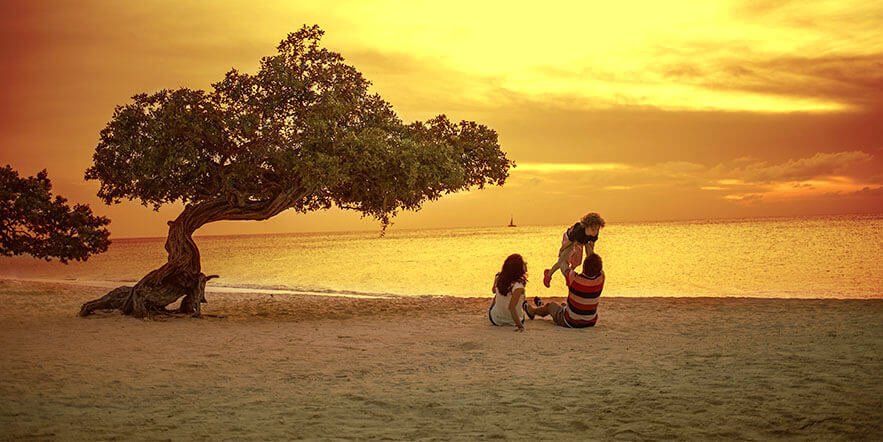 Un grupo de personas está sentada bajo un árbol en una playa al atardecer.