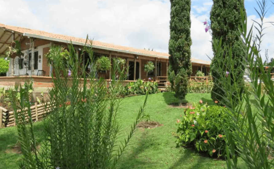 Una casa con muchas plantas en frente