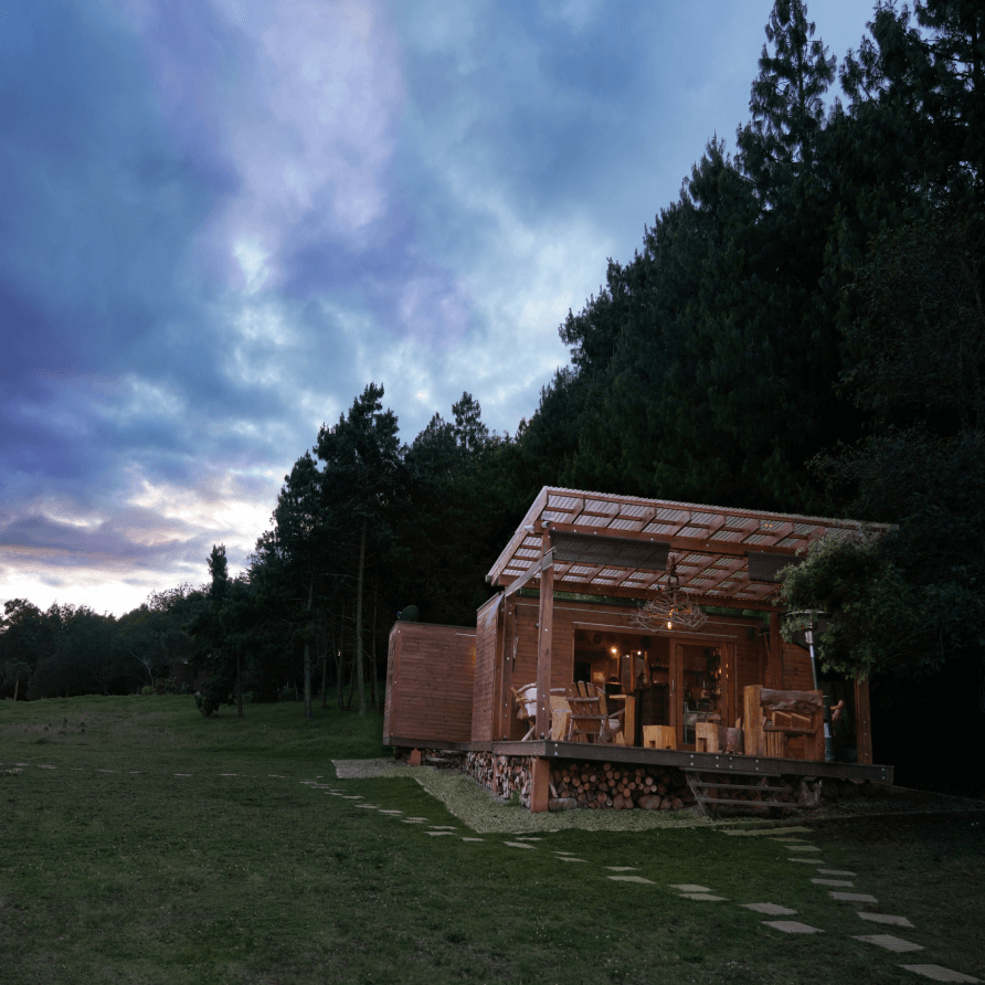 Una pequeña casa en medio de un campo con árboles al fondo