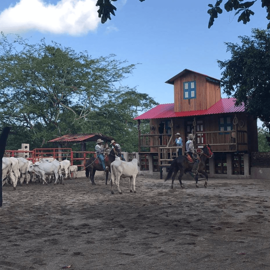 Un grupo de personas a caballo frente a una casa