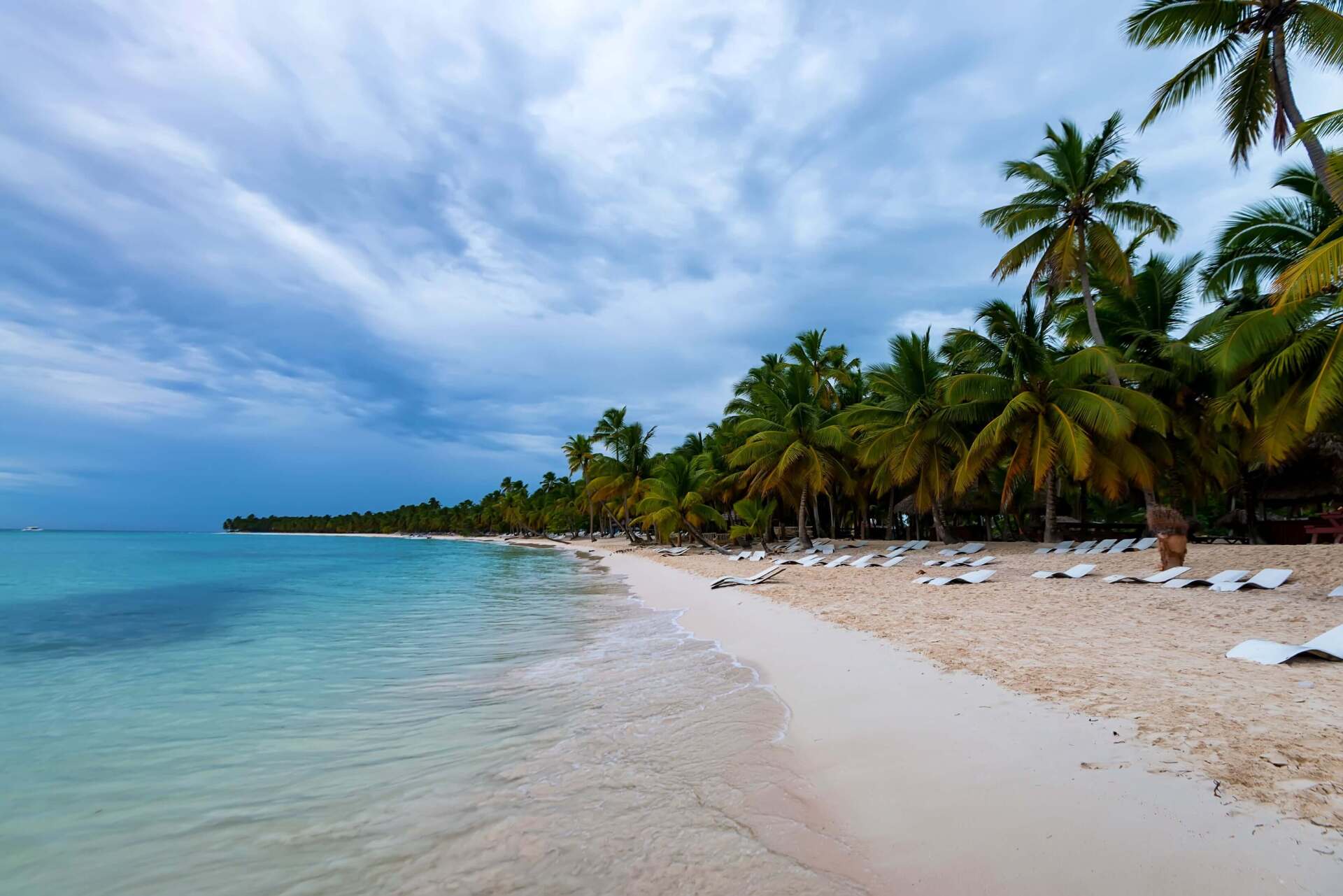 Una playa con muchas sillas y palmeras