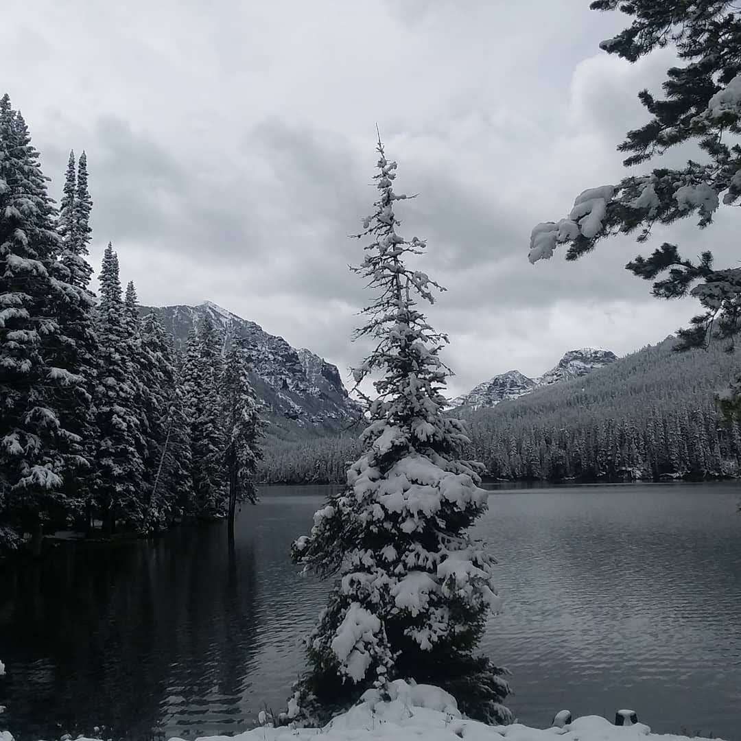 Snow-covered evergreen trees surround a dark lake reflecting the mountains and overcast sky.