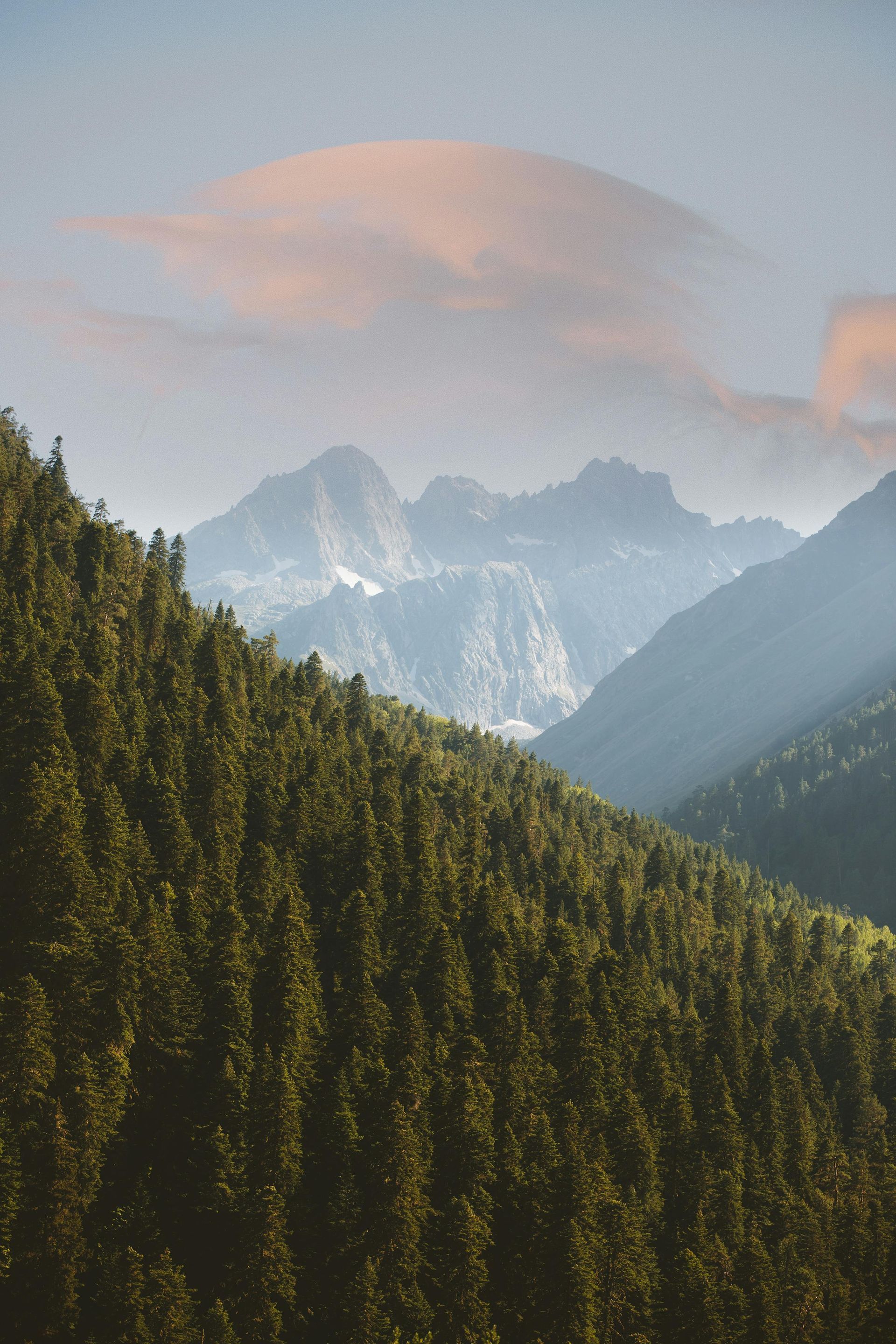 Mountain range seen through a forest, sunlight piercing through a cloudy sky.