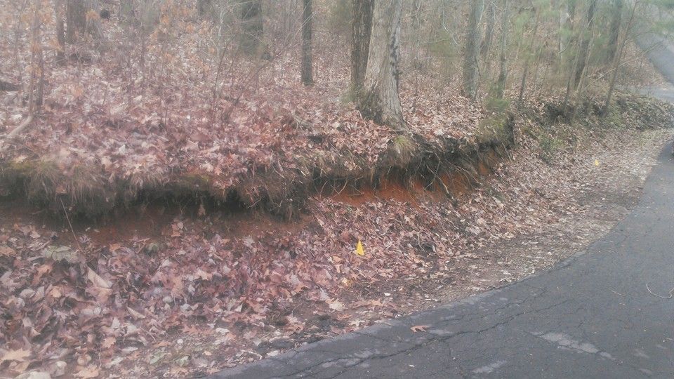 A road with a lot of leaves on the side of it in the woods.