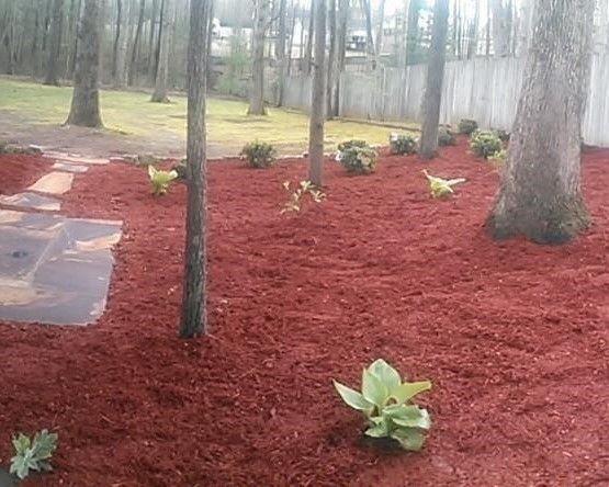 A yard filled with red mulch and trees.
