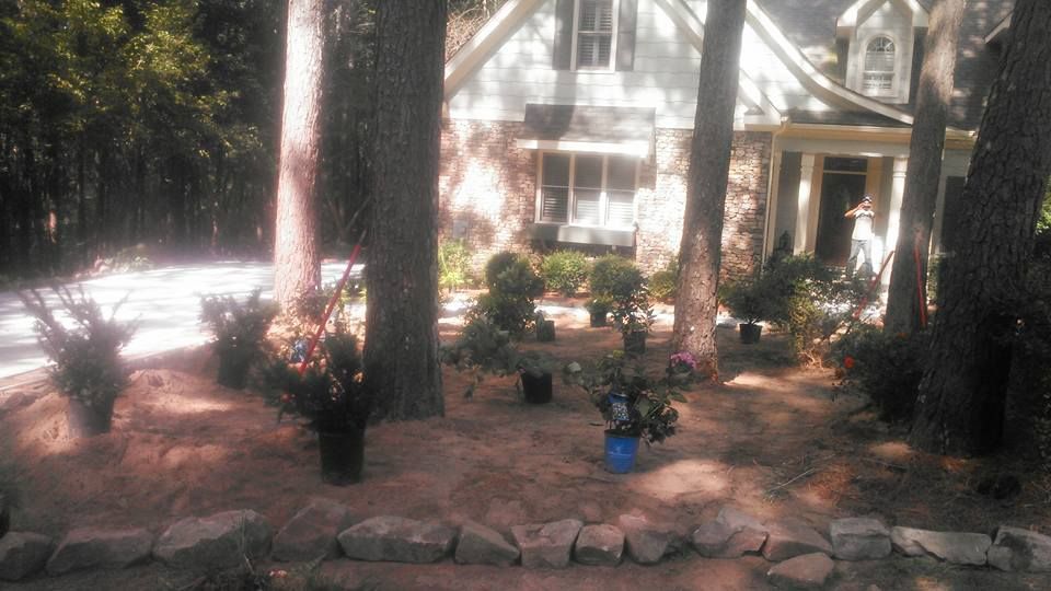 A house is surrounded by trees and rocks in the middle of a forest.