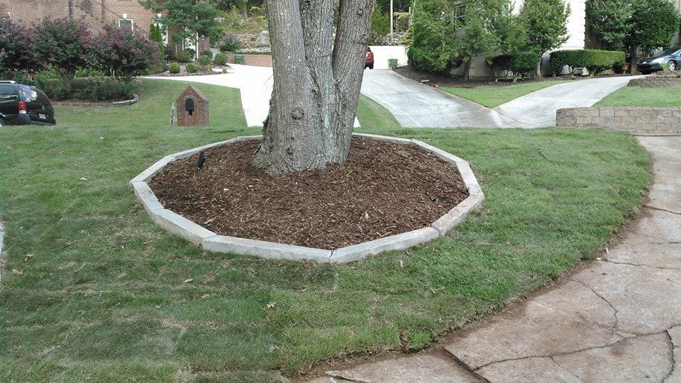 A tree in a circle in the middle of a lush green lawn.