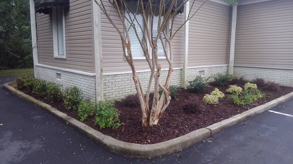 A house with a tree in the corner of it.
