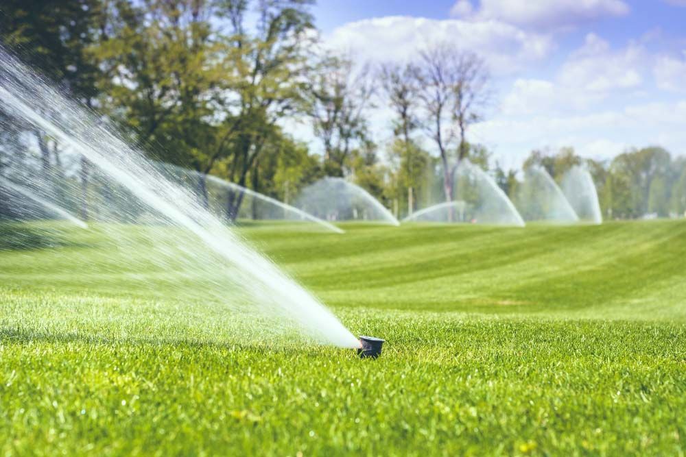 A sprinkler is spraying water on a lush green field.
