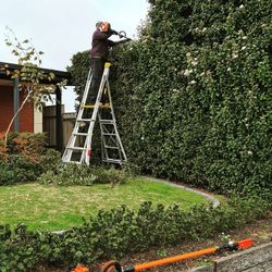 We do tree and bush pruning