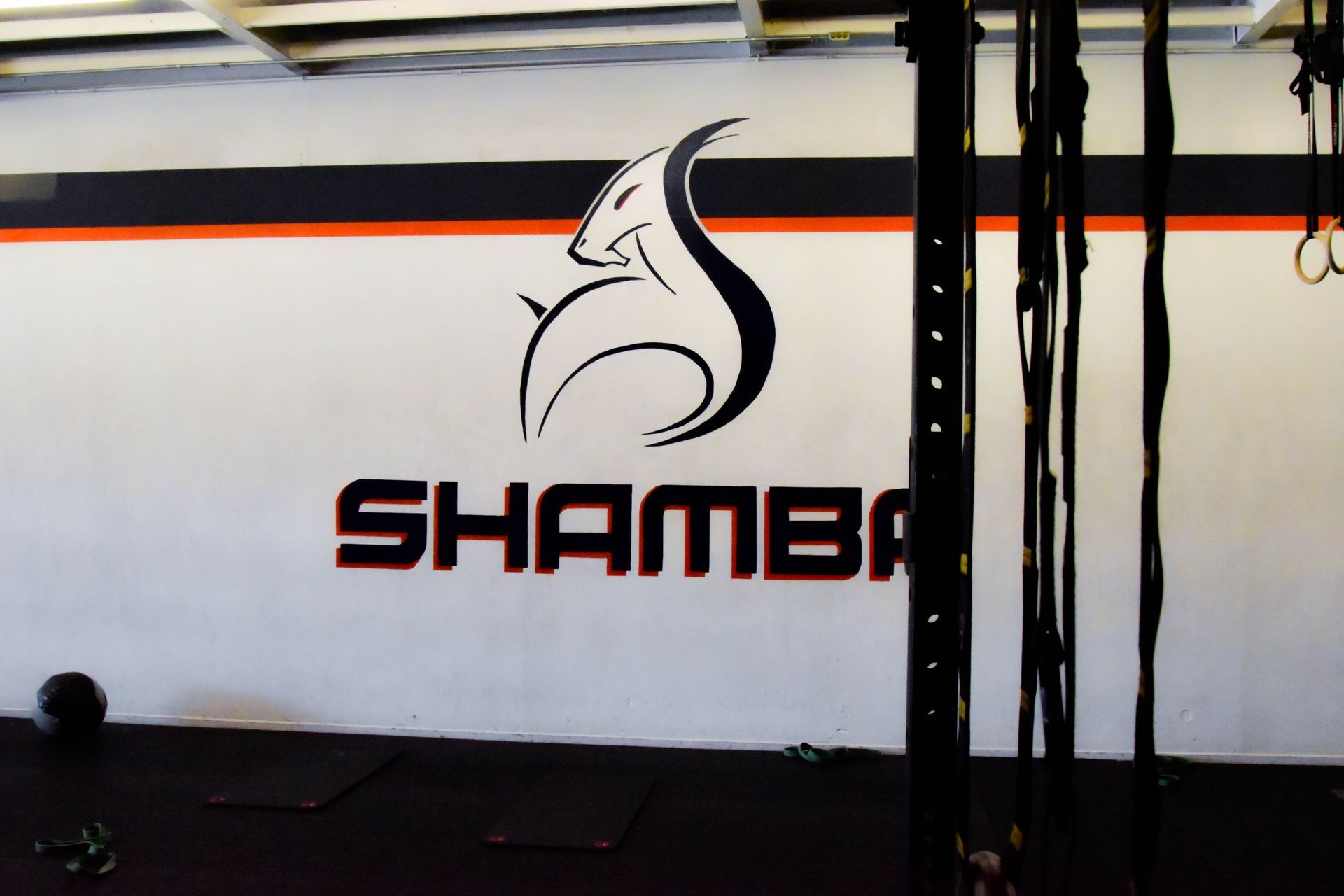 Try a Free Class