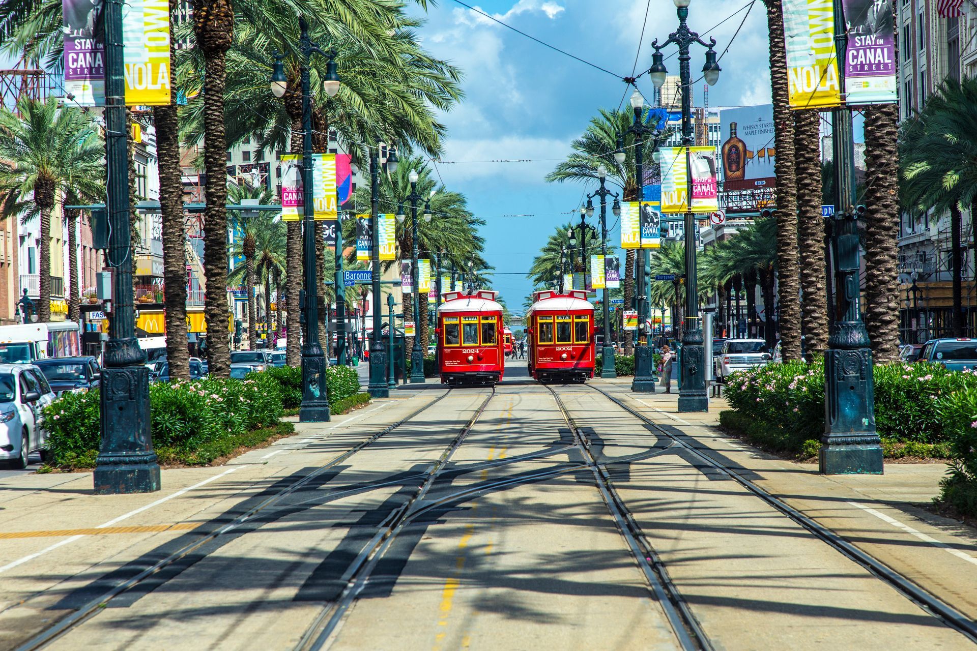 Two red trolleys are driving down a street lined with palm trees.