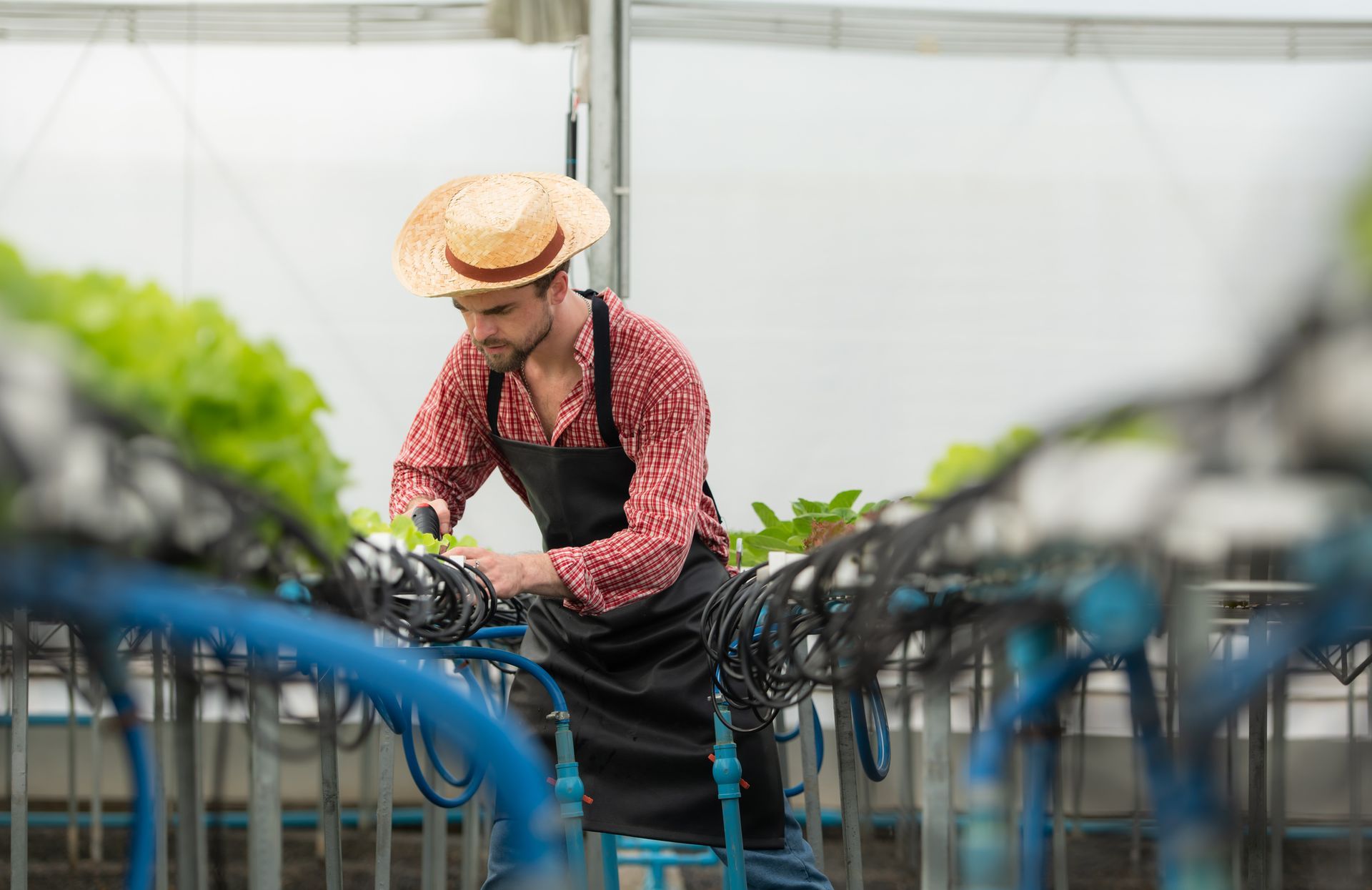 A man in a straw hat is working in a greenhouse.