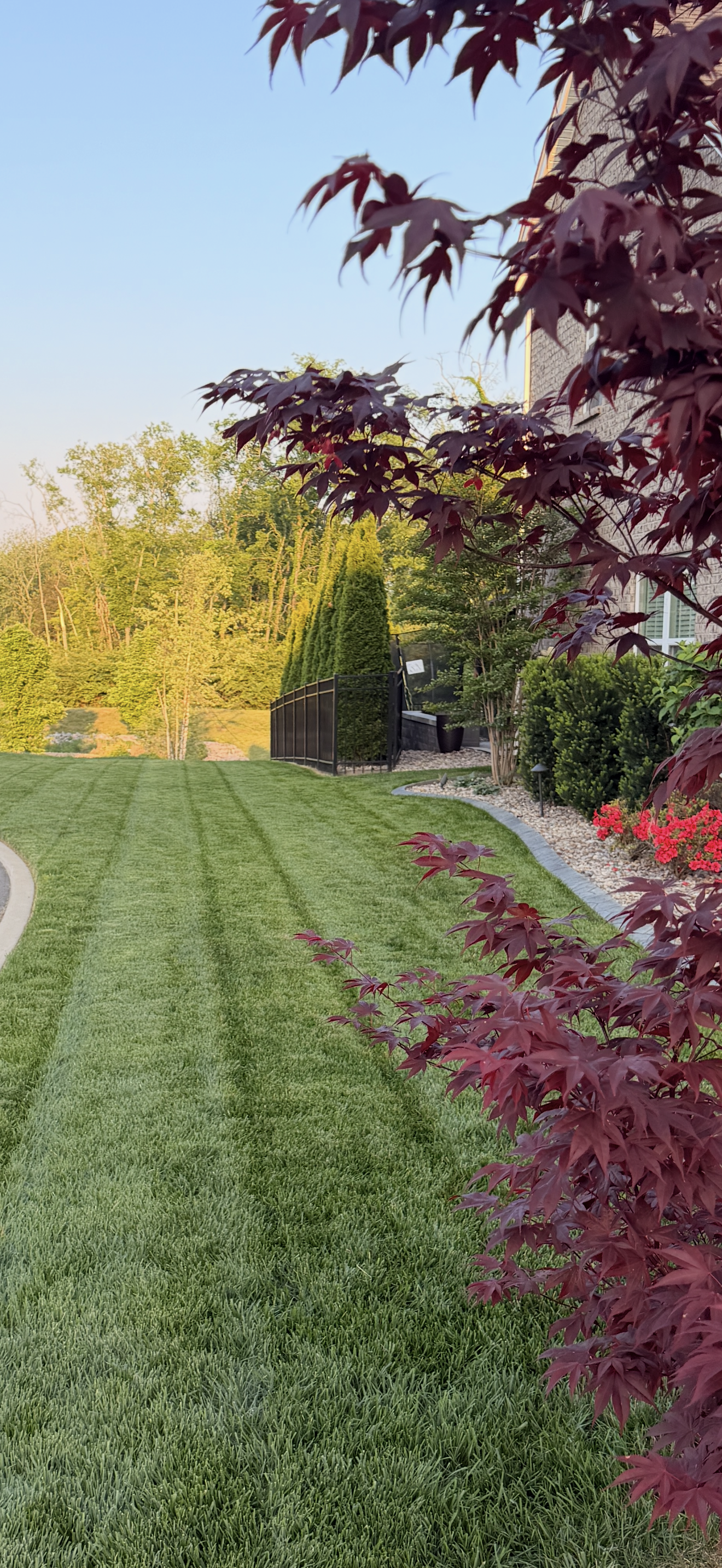 Lawn with beautifully cut grass