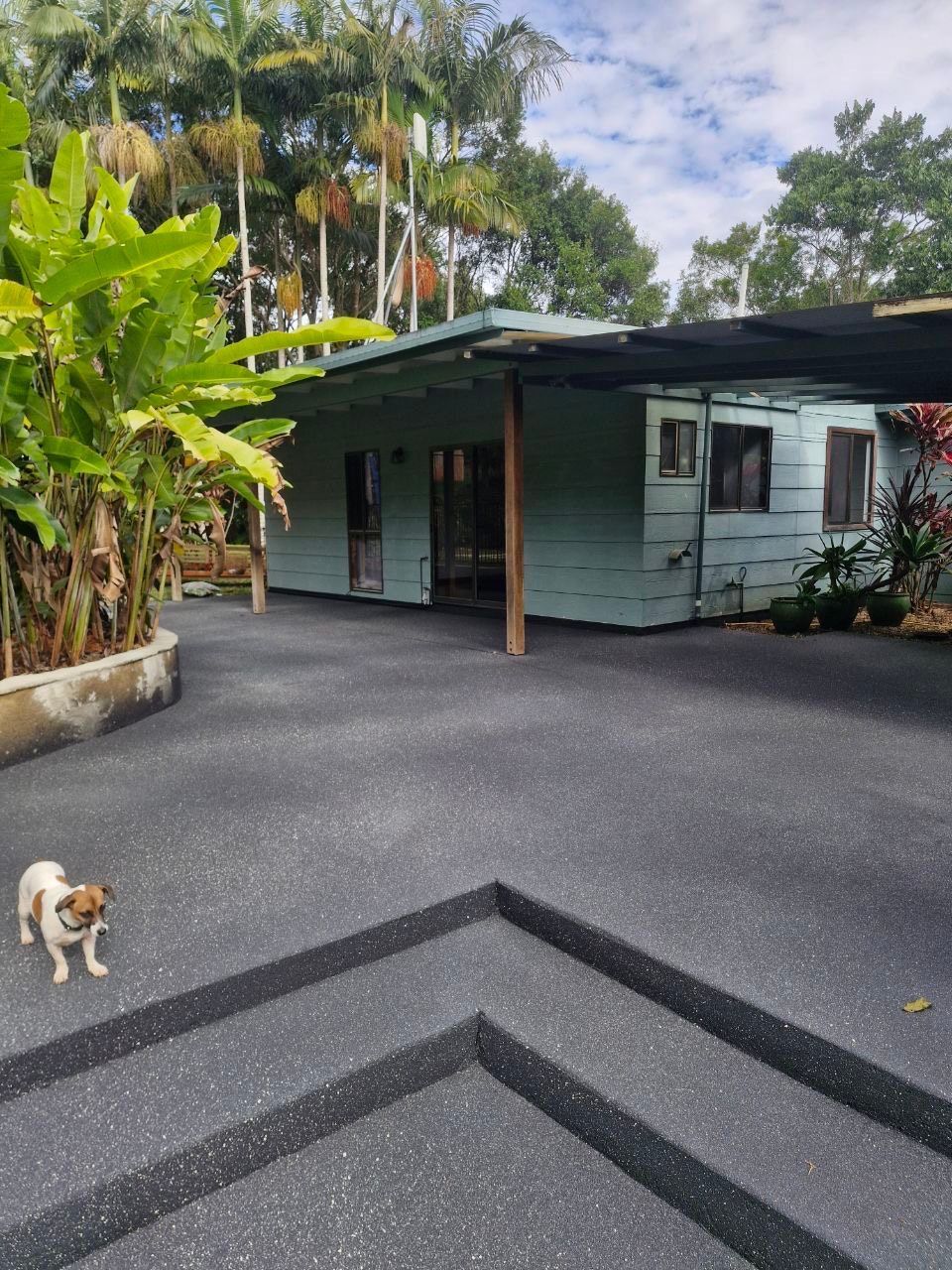 A dog is standing in front of a house in a driveway — Fantastic Frank's Concrete Resurfacing In Byron Bay, NSW