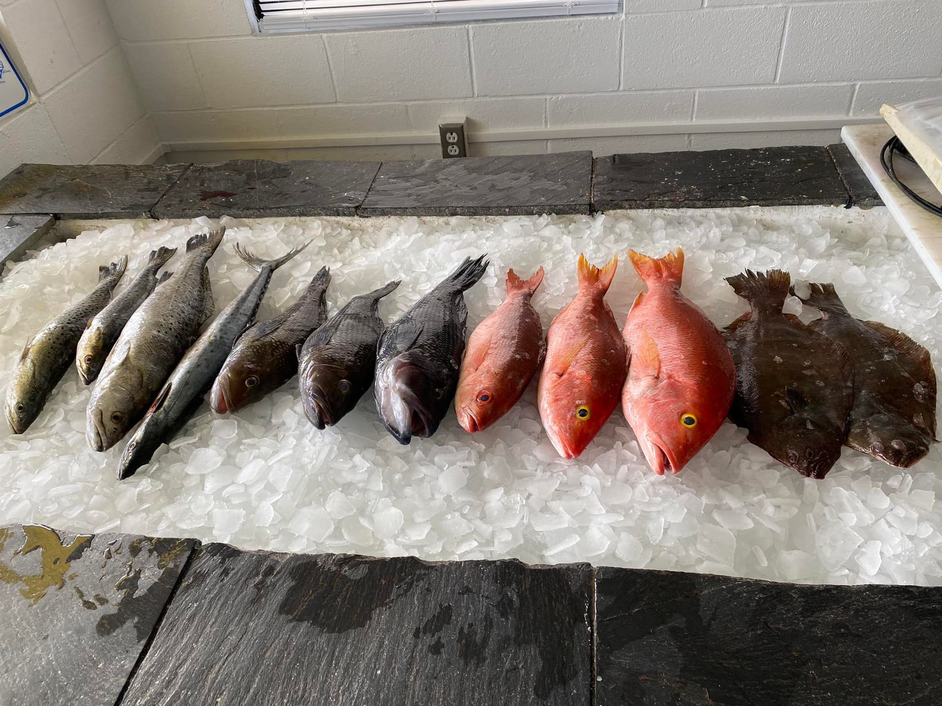 Different Kind Of Fishes — Morehead City, NC — Capt Jim's Seafood Market
