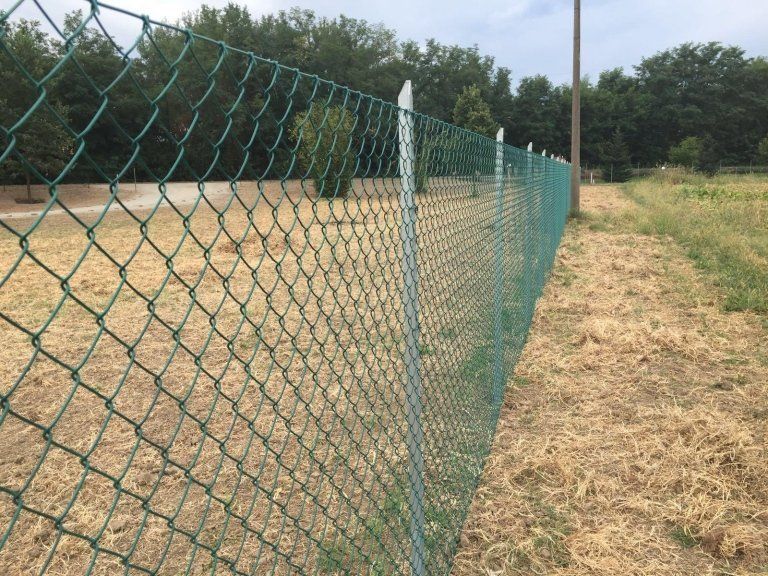 Recinzione in maglia metallica verde