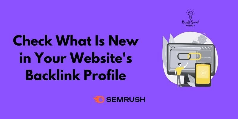 Check What is New in your website backlink profile
