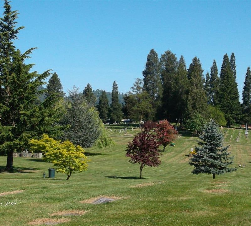 A cemetery with lots of trees and grass