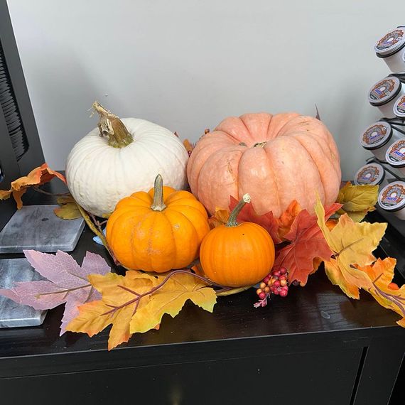 Pumpkins of various sizes and colors with autumn leaves on a dark surface.