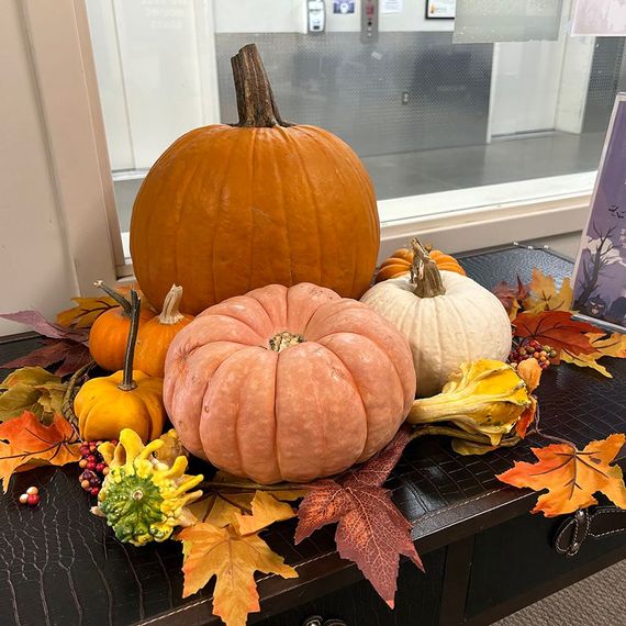 Pumpkins and gourds in orange, white, and pink surrounded by fall leaves on a dark surface.