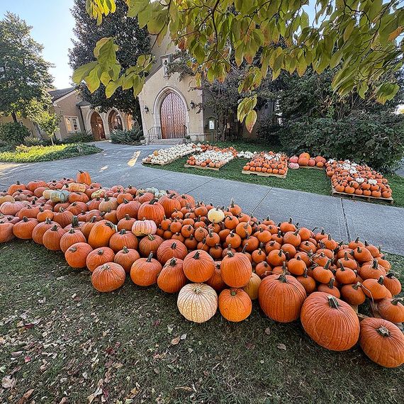 Pumpkins arranged outside a building with a large wooden door. Autumn colors with a variety of pumpkin sizes and colors.
