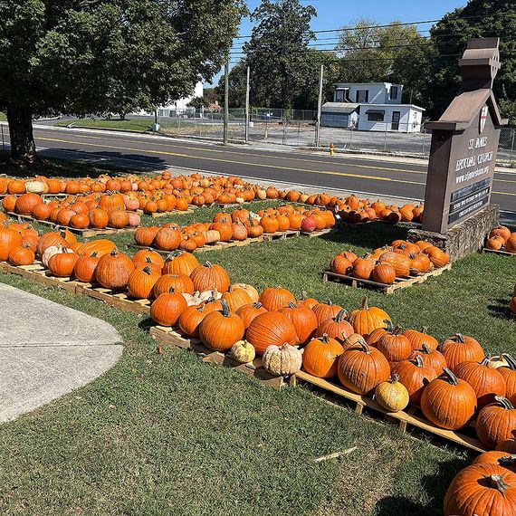Pumpkins on display for sale outdoors, along a road, in front of a sign.