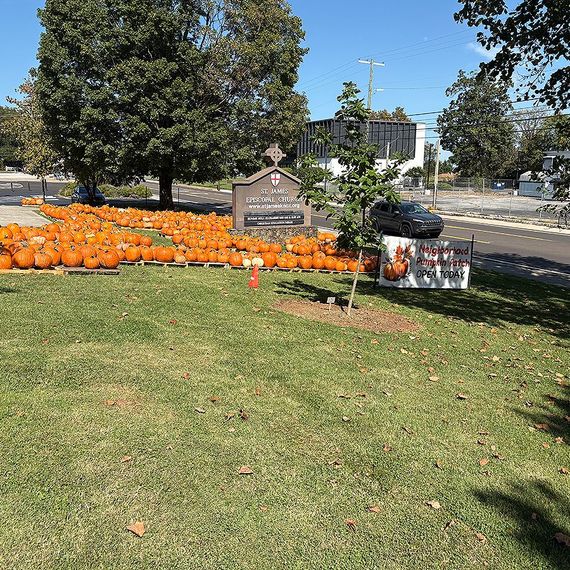 Pumpkins and a sign on a church lawn, likely a pumpkin sale, on a sunny day.