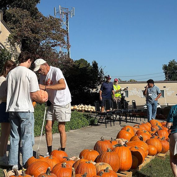 People selecting pumpkins from a display; outdoors with blue sky.